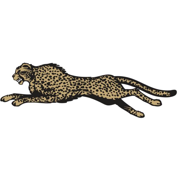 BAW CHEETAH 01 RC Thumbnail