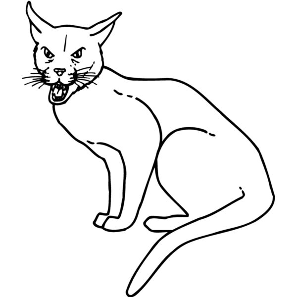 CAT21 Thumbnail